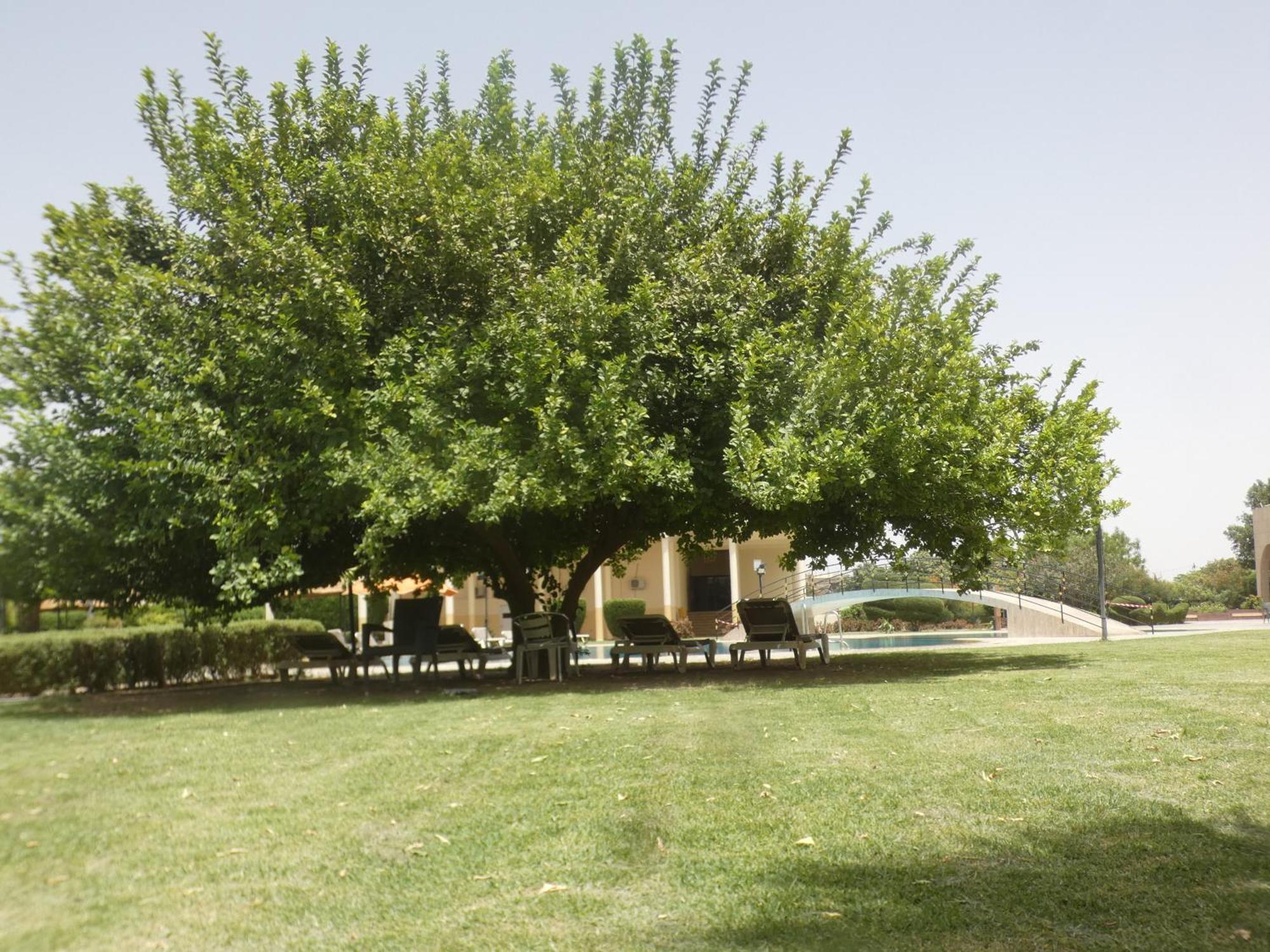 L'Amitie Hotel N'Djamena Exterior photo